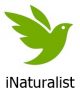 iNaturalist